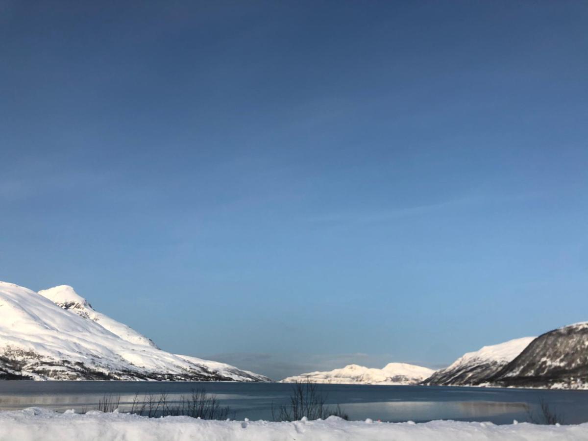 Melishome: Aurora Observatory Tromso Luaran gambar