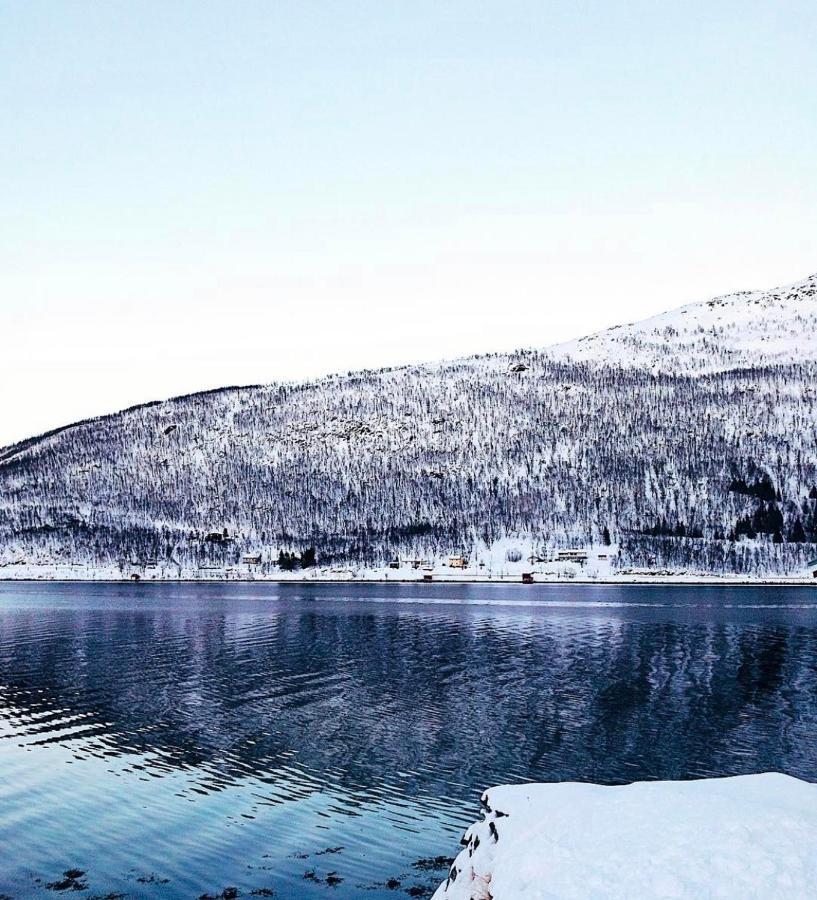 Melishome: Aurora Observatory Tromso Luaran gambar