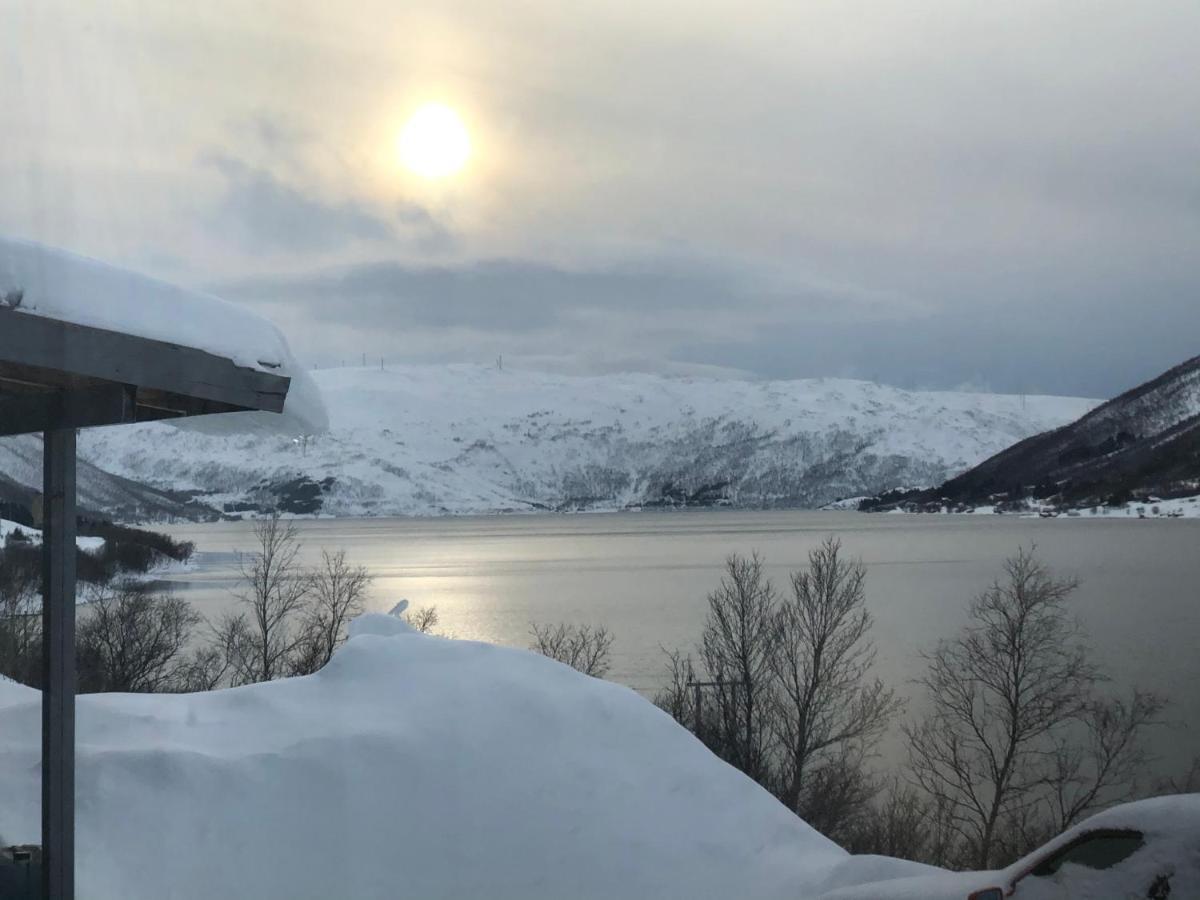 Melishome: Aurora Observatory Tromso Luaran gambar