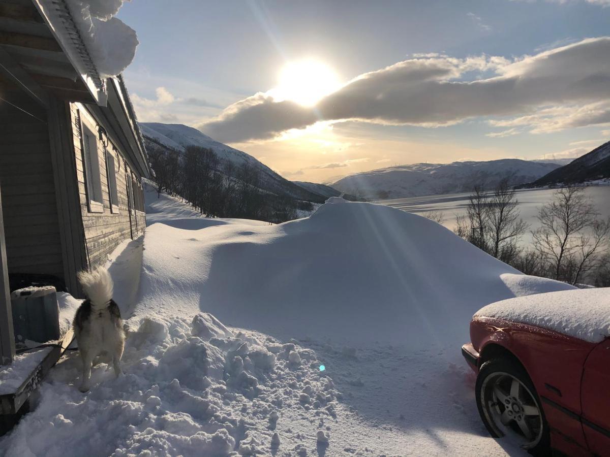 Melishome: Aurora Observatory Tromso Luaran gambar